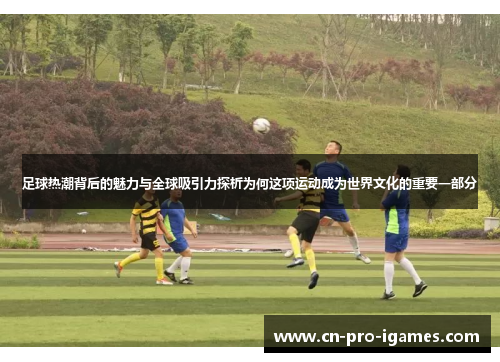 足球热潮背后的魅力与全球吸引力探析为何这项运动成为世界文化的重要一部分 足球热潮背后的魅力与全球吸引力探析为何这项运动成为世界文化的重要一部分